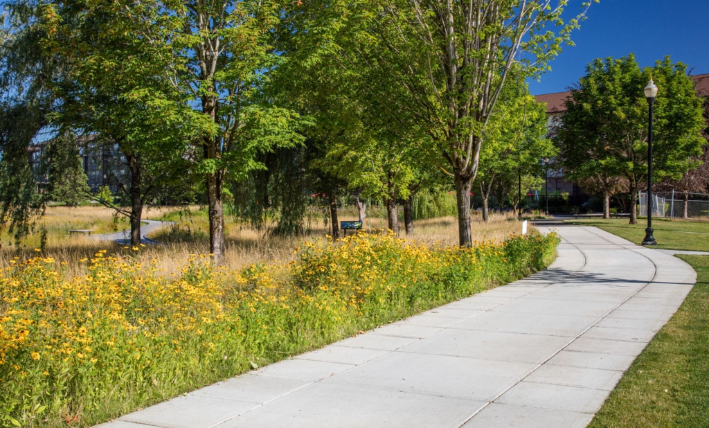 walking paths